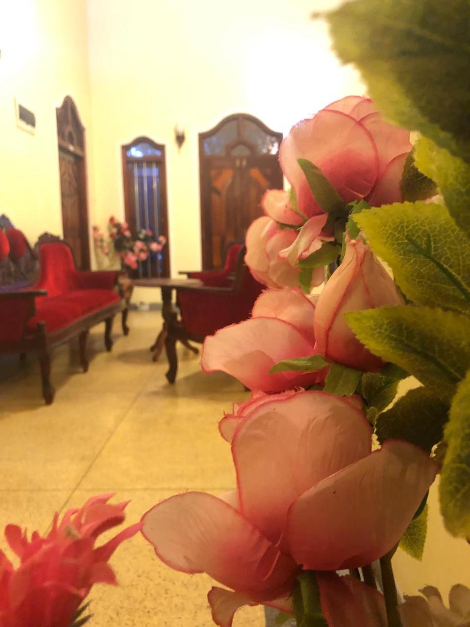 אונה ואטונה Tiny Royal Palace מראה חיצוני תמונה